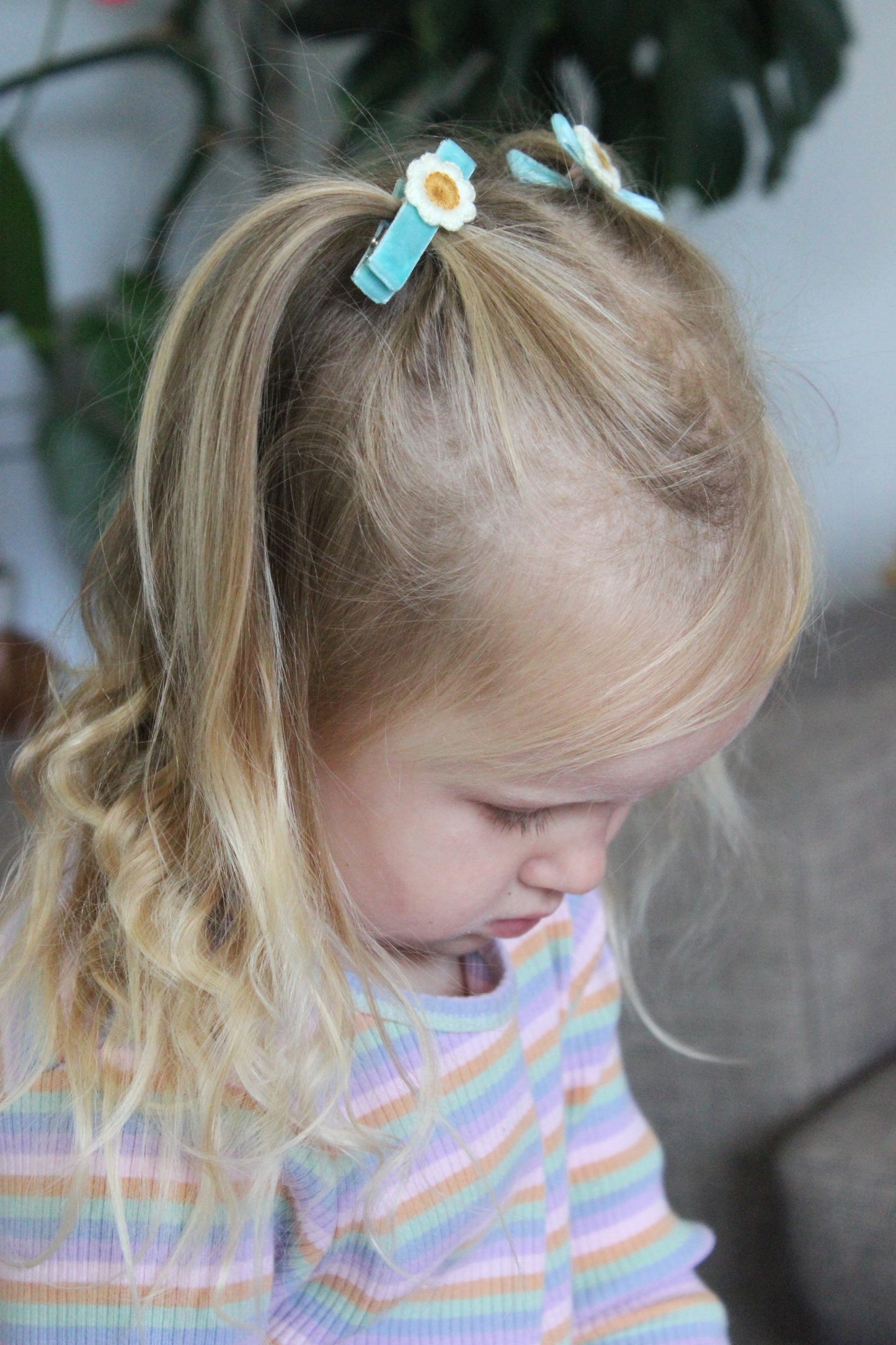 Retro Velvet Flora Clips